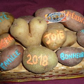 Pomme de terre